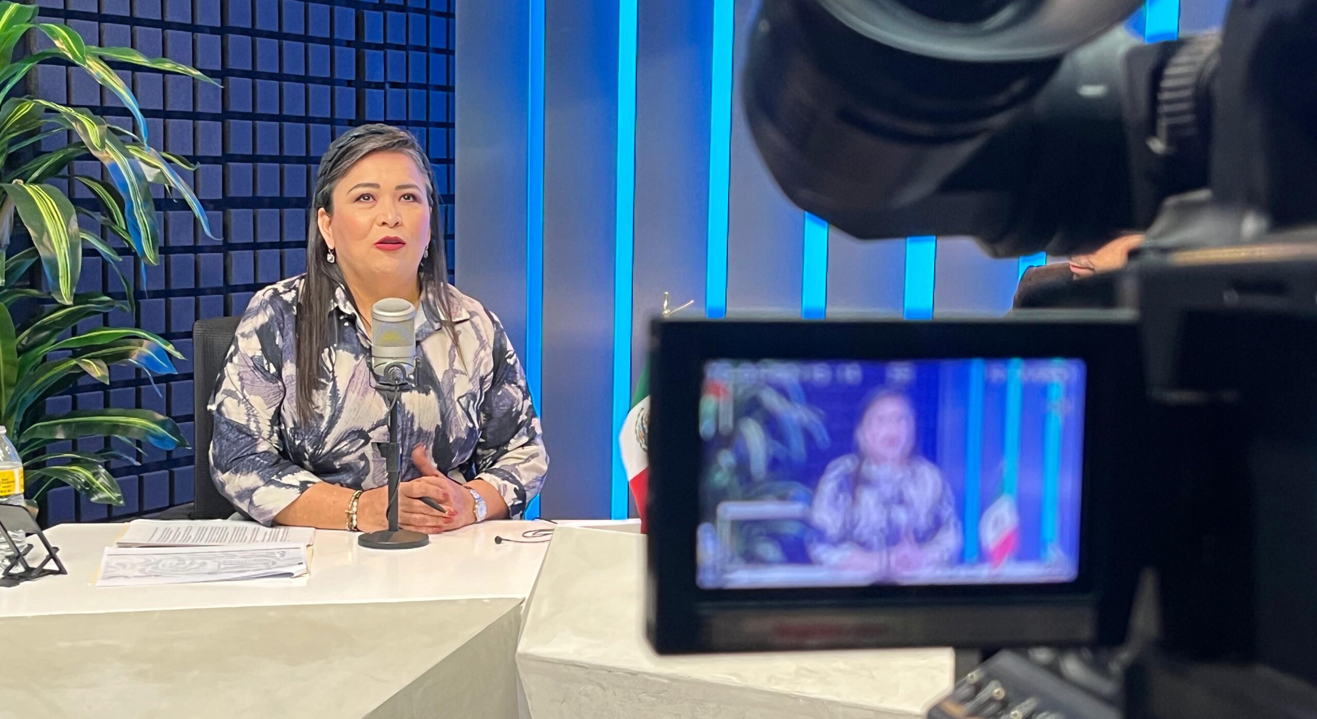 ana elizabeth ayala leyva diputada