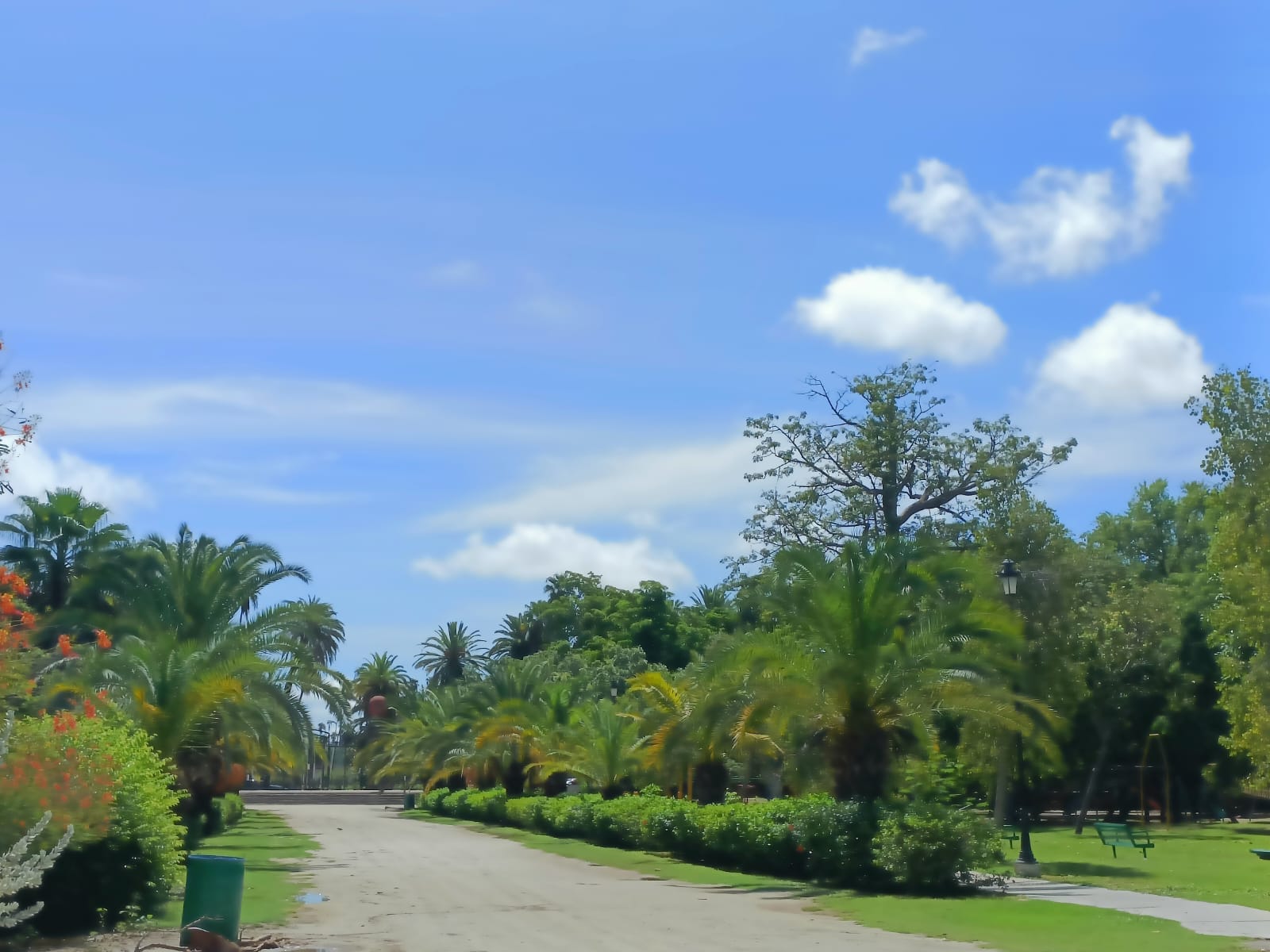 Tras intensas lluvias en Los Mochis, anuncian reapertura del Parque Sinaloa