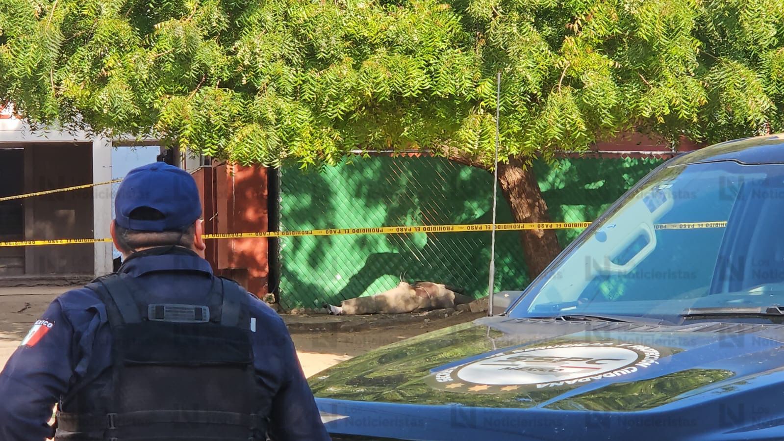 aparecen los restos de una mujer asesinada en culiacan