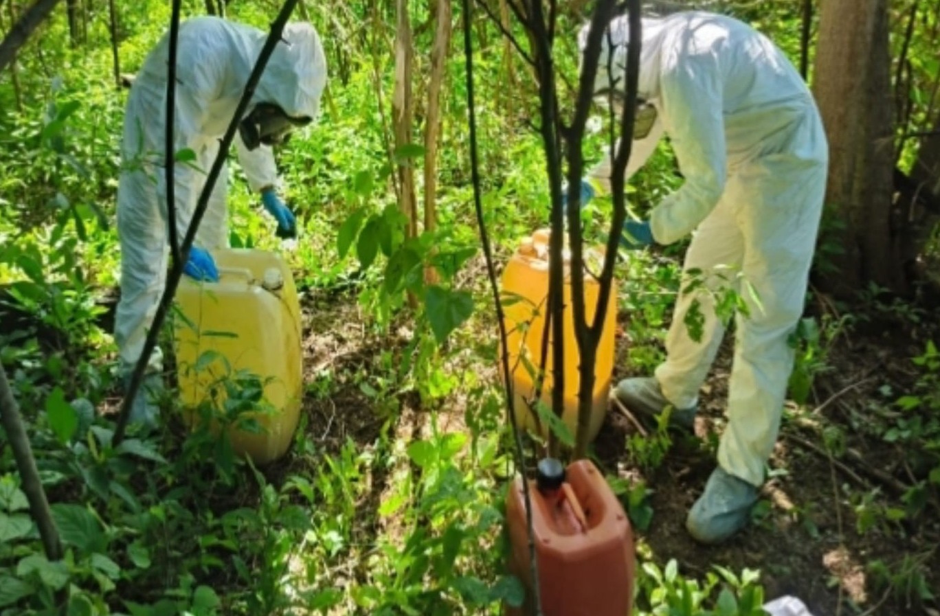 Área de concentración de sustancias químicas asegurada