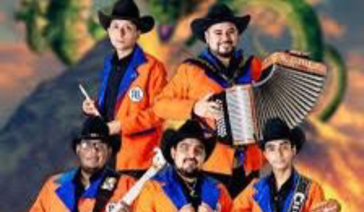 Artistas musicales de AniMole