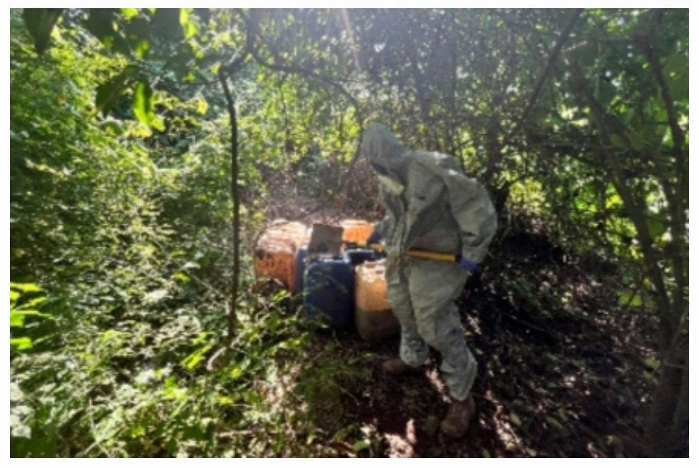Aseguran áreas de almacenamiento de precursores químicos en Culiacán, Elota y Cosalá, en Sinaloa