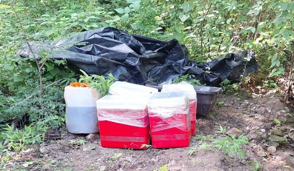 Aseguran droga en Los Cedros, en Culiacán, Sinaloa