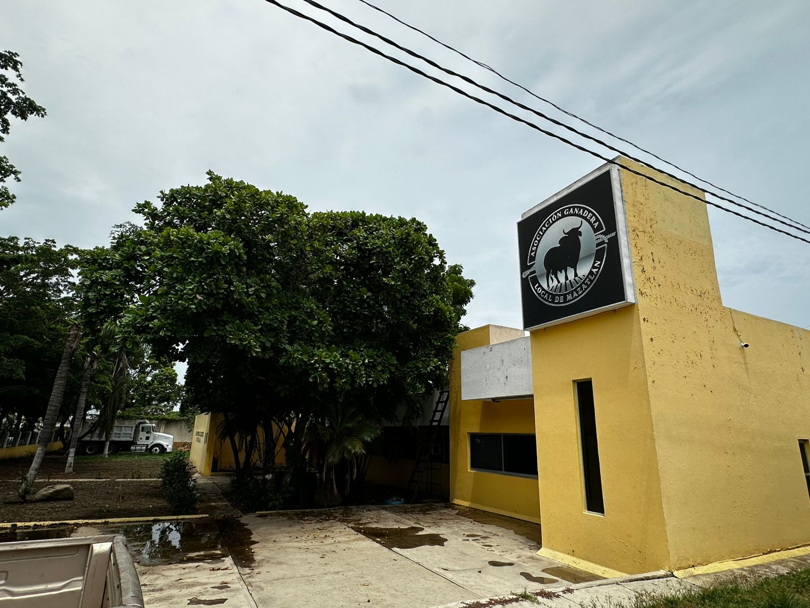Asociación Ganadera Local de Mazatlán