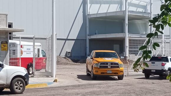 Ataque de abejas deja 17 lesionados, 3 de gravedad en una construcción al sur de Mazatlán