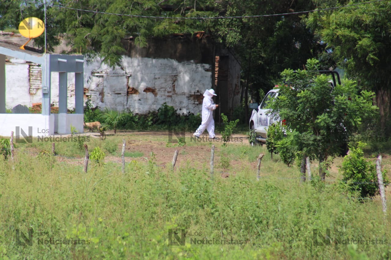 ataque de abejas deja a dos personas sin vida en villa union