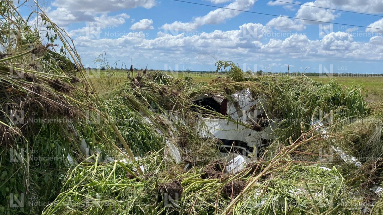 Piloto de Guasave muere en avionetazo en Estación Naranjo, Sinaloa