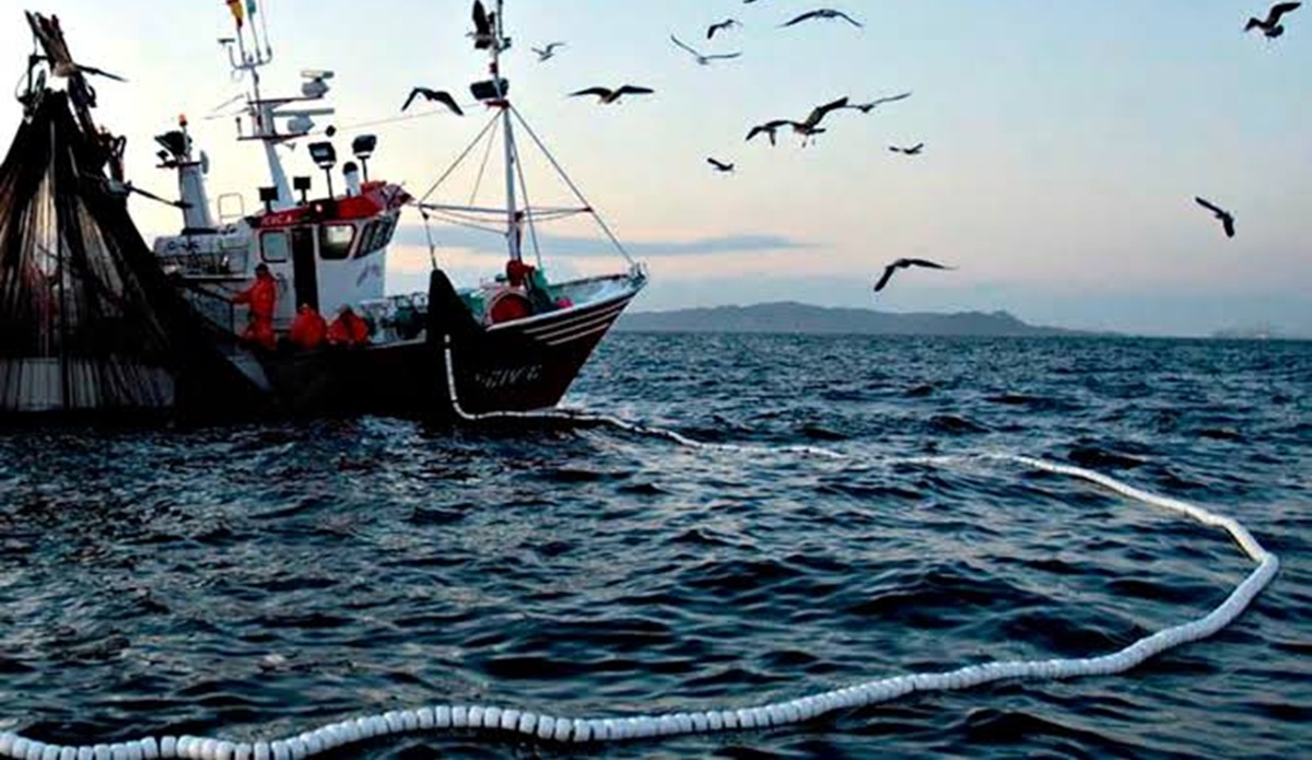 Armadores se alistan para salir a la pesca del camarón en altamar