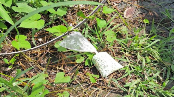 Localizan bolsa con casi mil pastillas de fentanilo, en Culiacán; el costo de la droga supera los 360 mil pesos