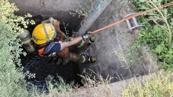 En un acto heroico, Bomberos rescatan a un perrito que cayó en una fosa de agua en Guasave, Sinaloa