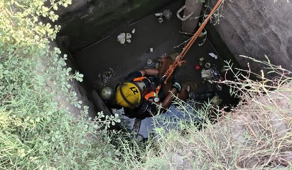 Bomberos de Guasave rescatan a perrito de fosa con agua