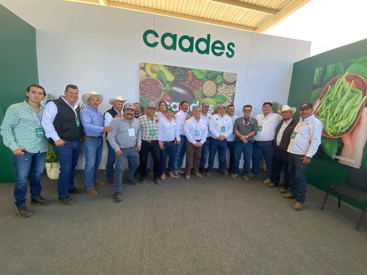 Caades