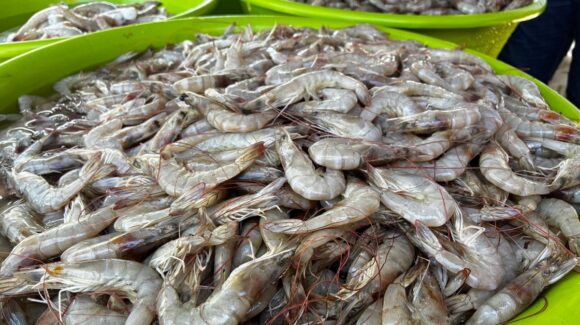 Changueras de Mazatlán se quedan esperando repunte de ventas durante vacaciones de verano