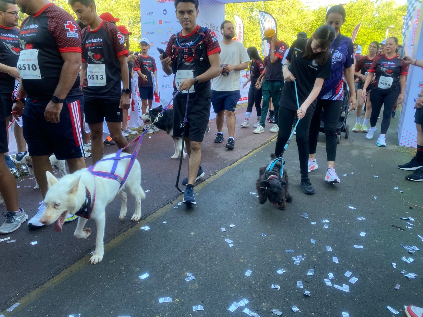 Carrera Cruz Roja Culiacán