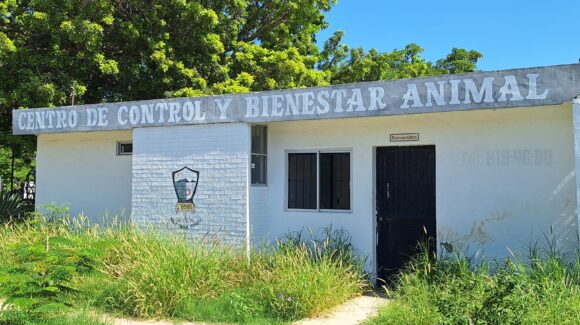 Para nada hay maltrato en el Centro de Control y Bienestar Animal de Los Mochis: Salud Municipal