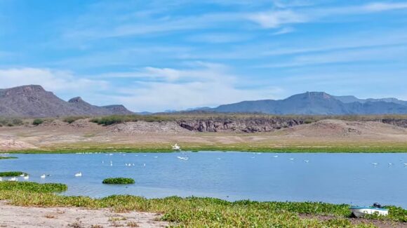 Ciénega de los Lara, un tesoro escondido en la sierra de Badiraguato, Sinaloa