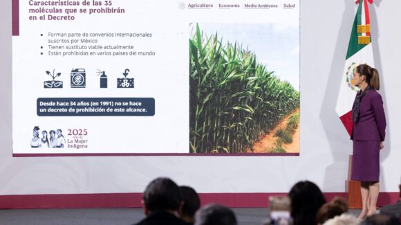 Por decreto, prohíbe gobierno el uso de pesticidas ‘altamente peligrosos’: Secretaría de Agricultura