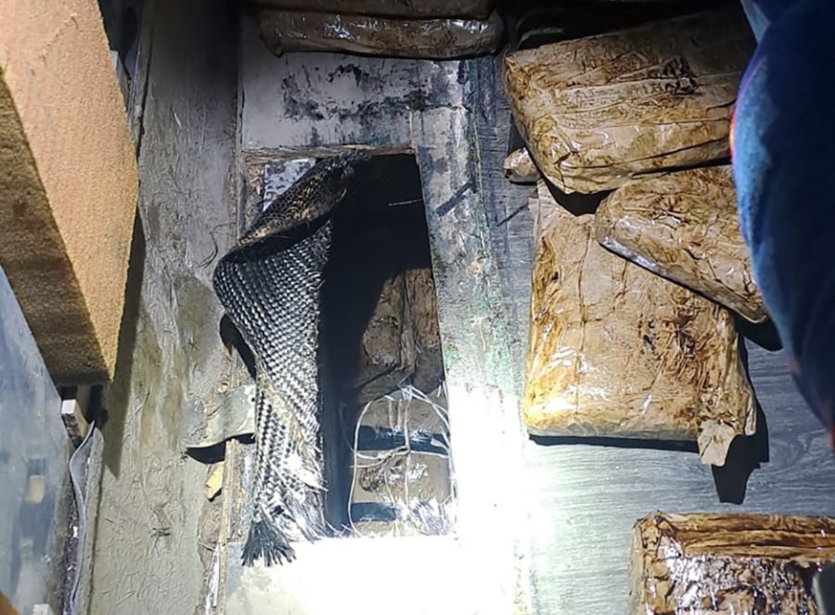 Compartimiento de camión donde encontraron drogas en Sonora