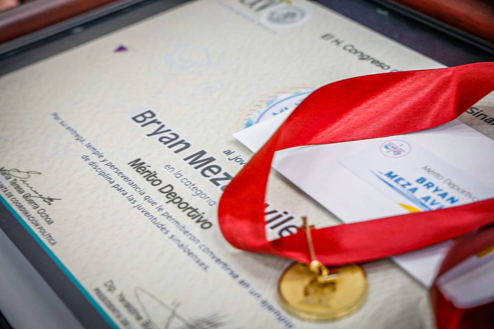 Medalla y reconocimiento al Mérito Juvenil 2025 en Sinaloa
