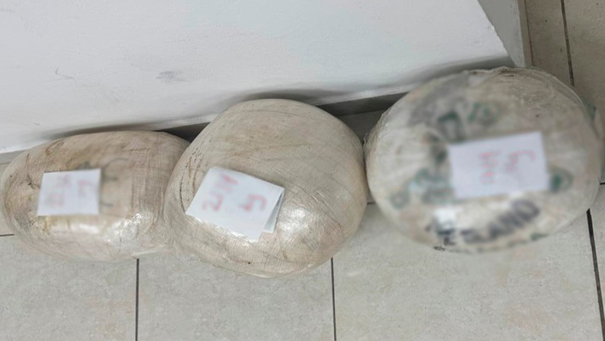 Aseguran droga en Los Cedros, en Culiacán, Sinaloa