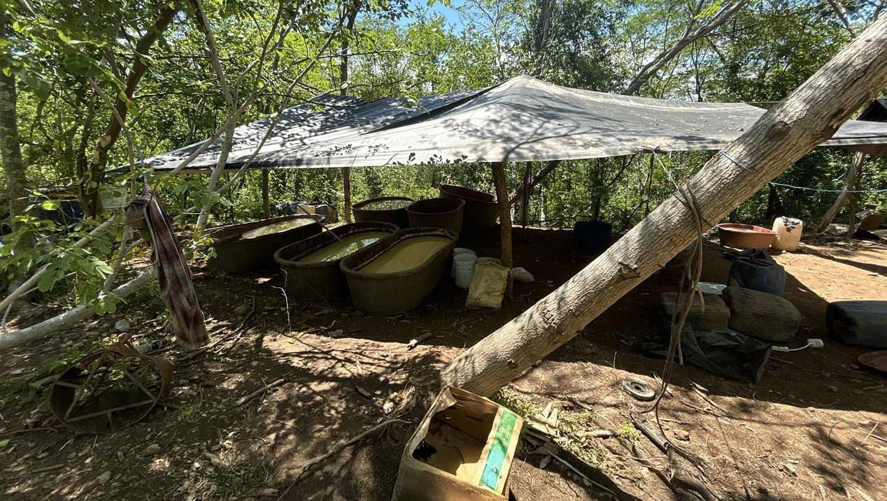 desmantelan narcolaboratorio en durango