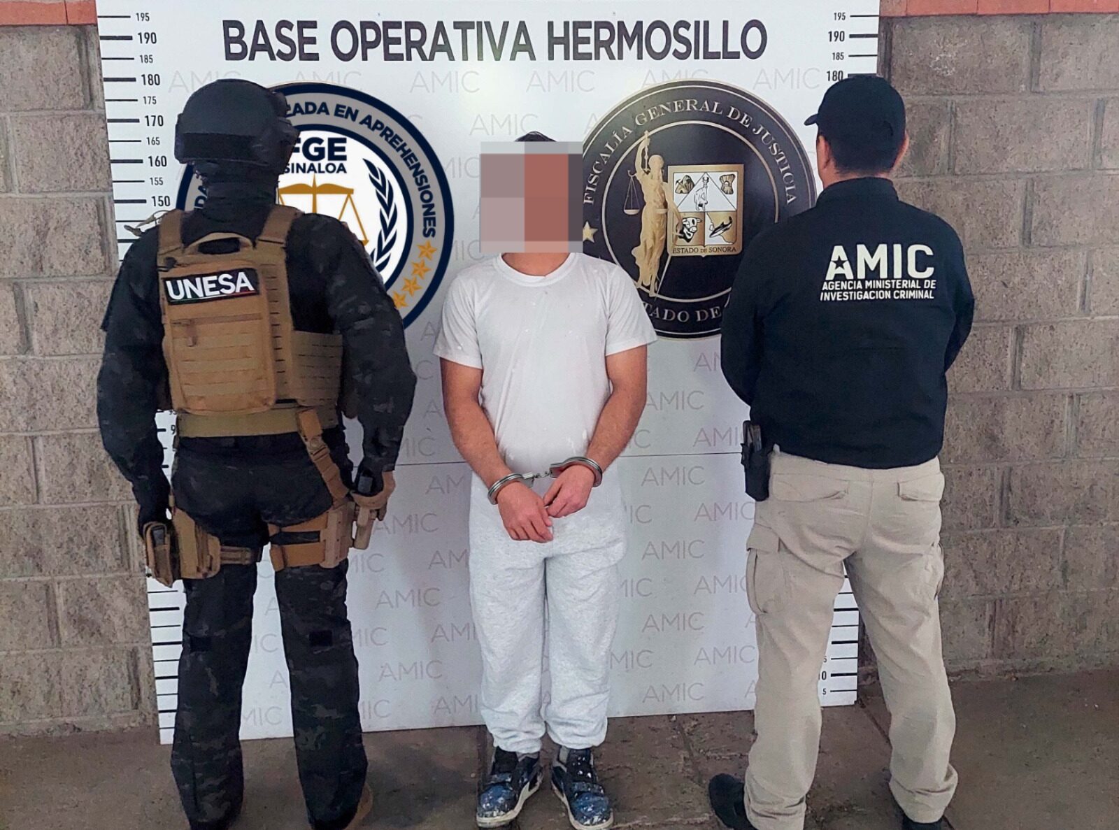 Sinaloense detenido por violencia familiar
