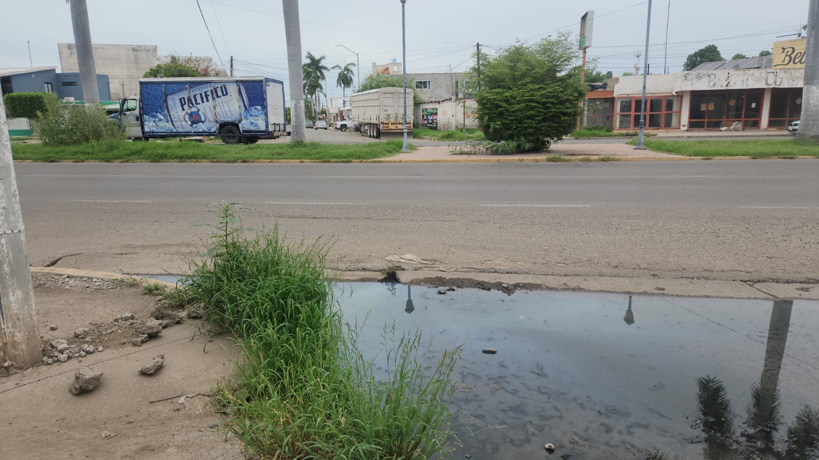 drenaje colapsado en guasave sin
