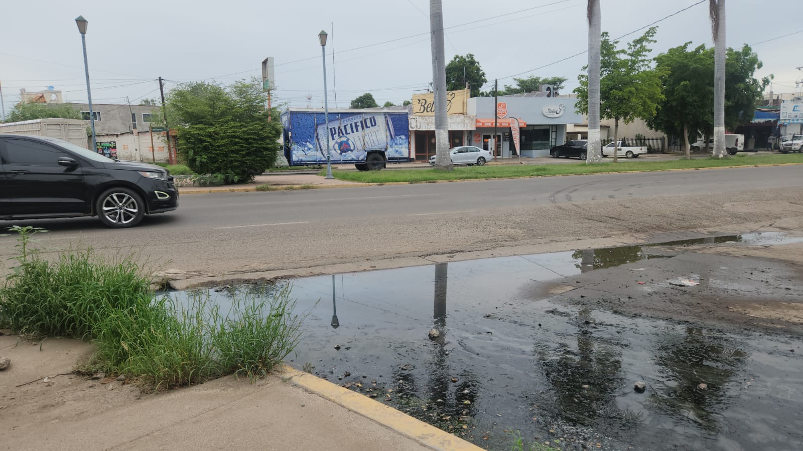 drenaje colapsado en guasave sinala lugar