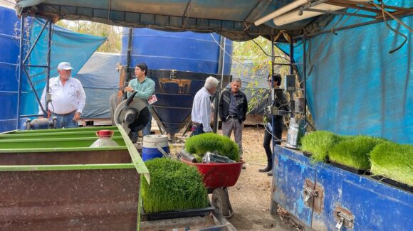 La agricultura está en crisis, se tienen que reducir costos y eficientar procesos: Eco Agro Guamúchil
