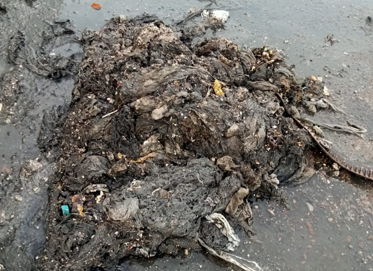 Fatbergs sacado de drenaje en Mazatlán, Sinaloa