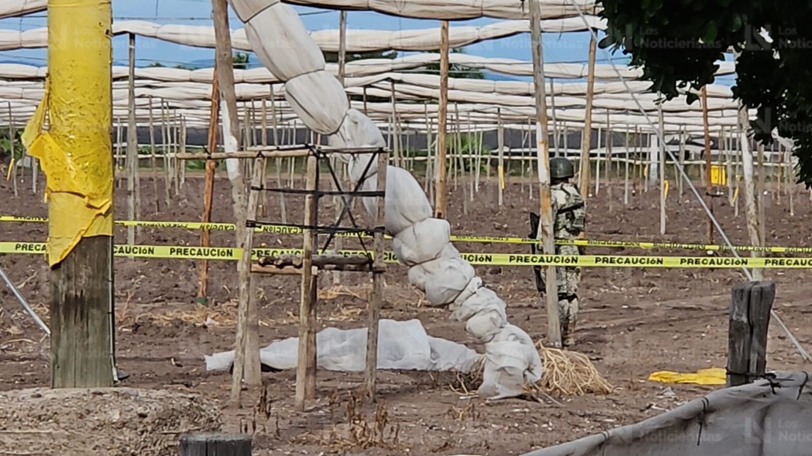 Hallan a hombre asesinado en tierras de cultivo en Costa Rica, Culiacán