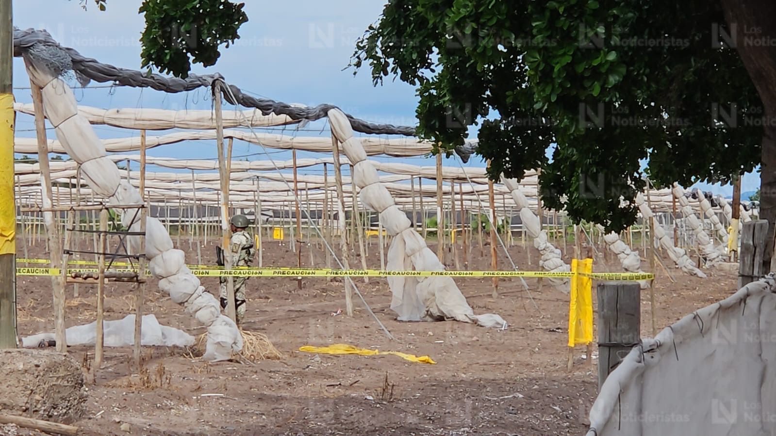Hallan a hombre asesinado en tierras de cultivo en Costa Rica, Culiacán