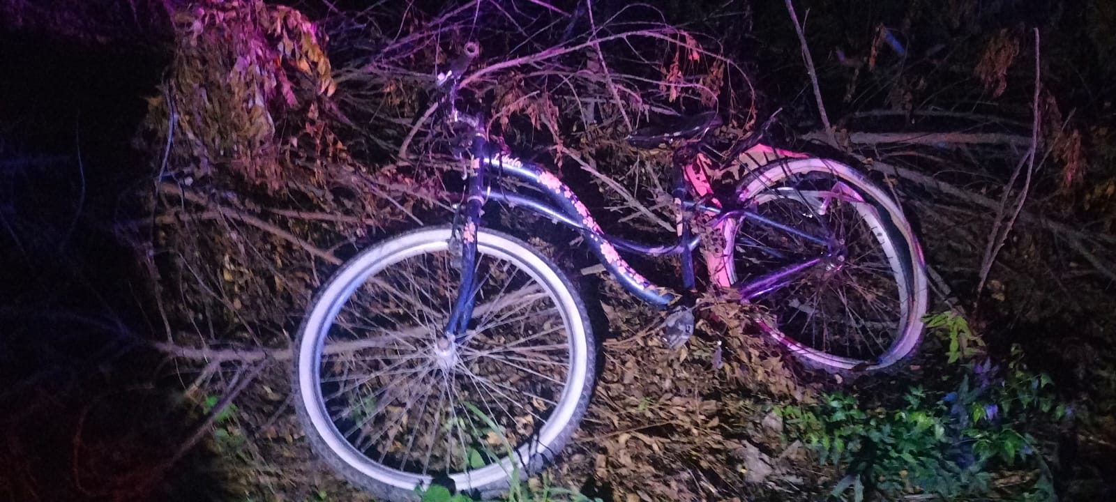 Hombre muere al ser atropellado en Guasave