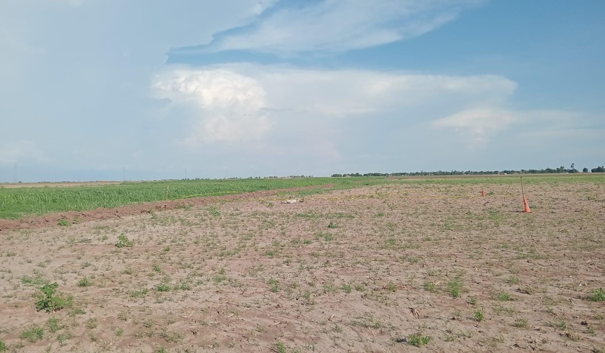 Hallan a hombre sin vida en tierras de cultivo en Guasave