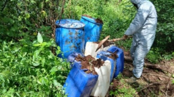 Aseguran 8 laboratorios clandestinos en Culiacán, Elota y Cosalá e inhabilitan campamento en Concordia, Sinaloa 