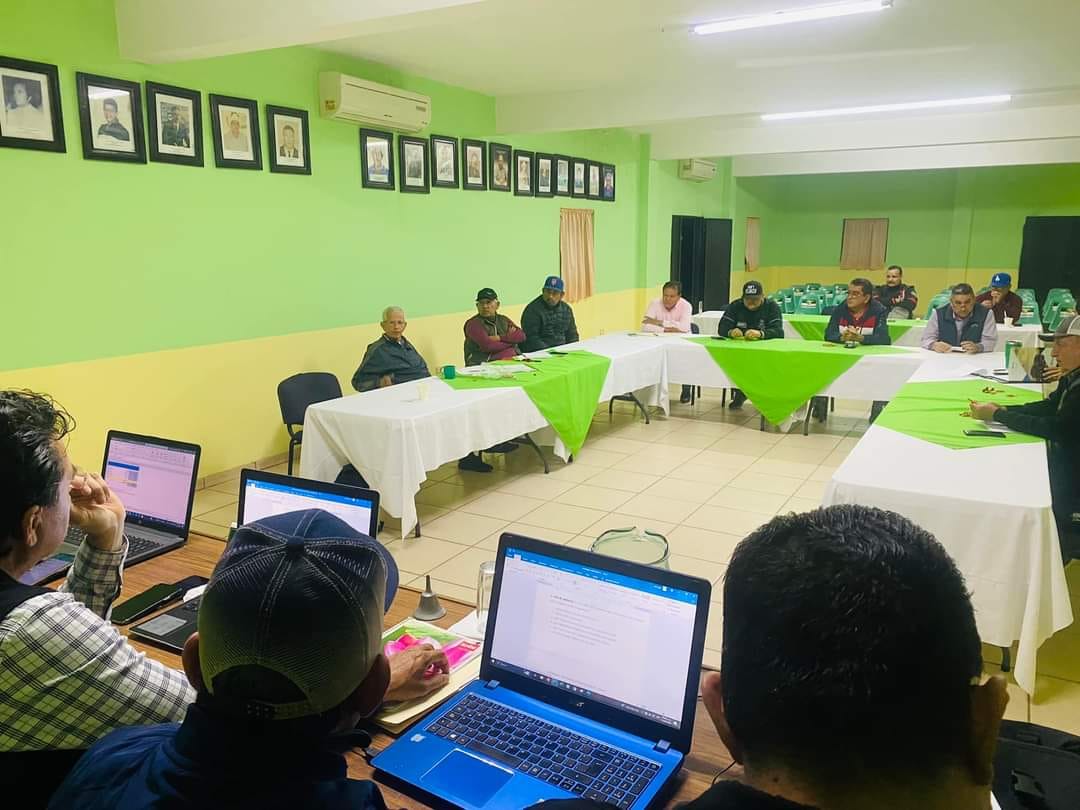 Liga de Beisbol Clemente Grijalva Cota