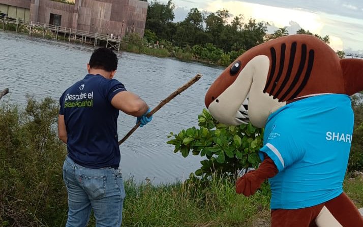 limpian la laguna el camaron de mazatlan