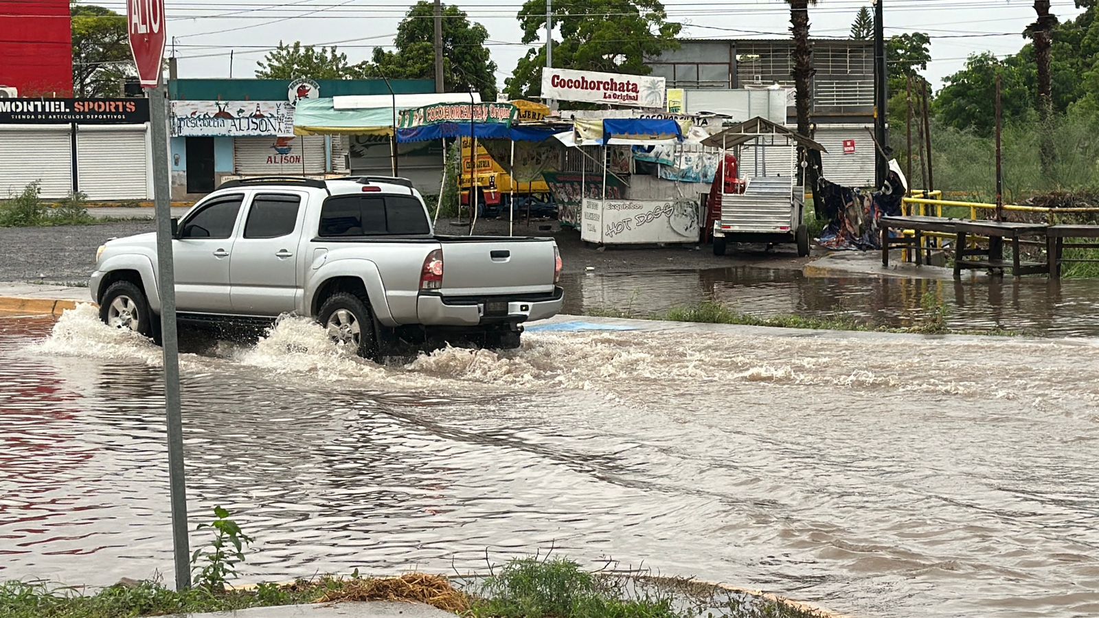 Lluvia en LM