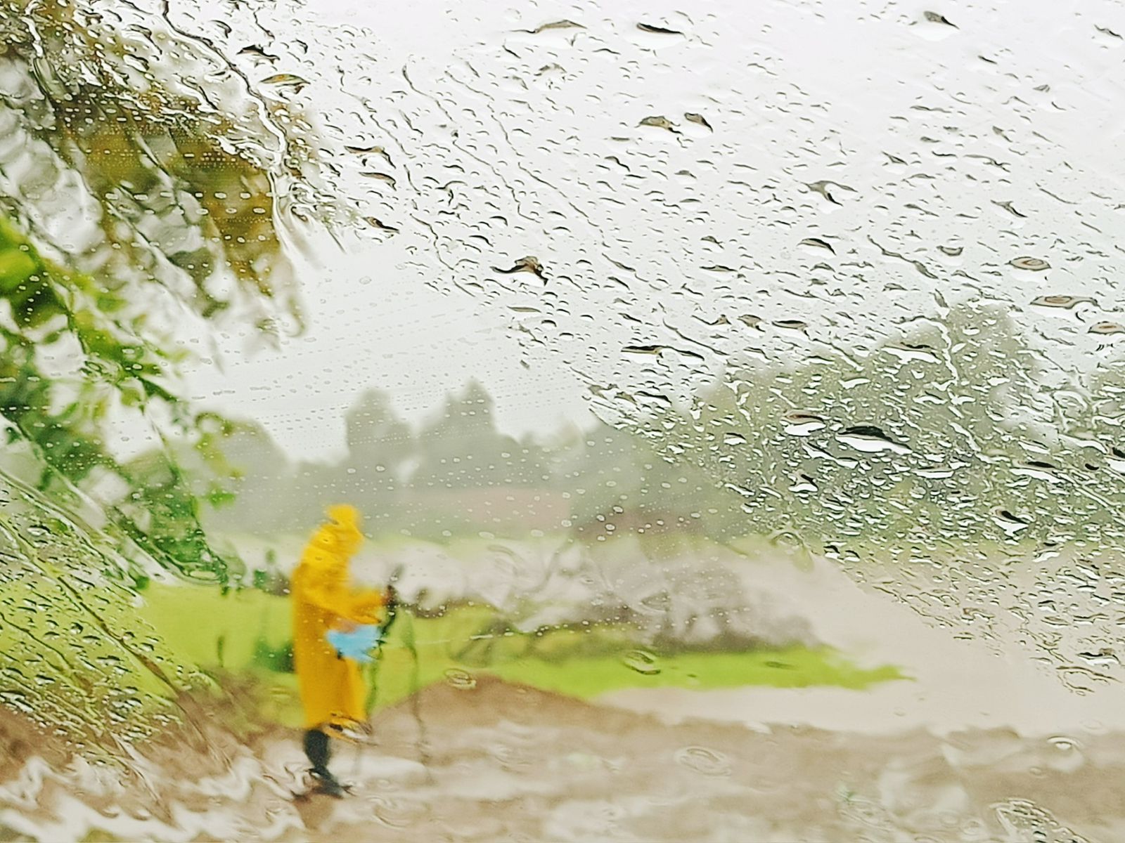 lluvias