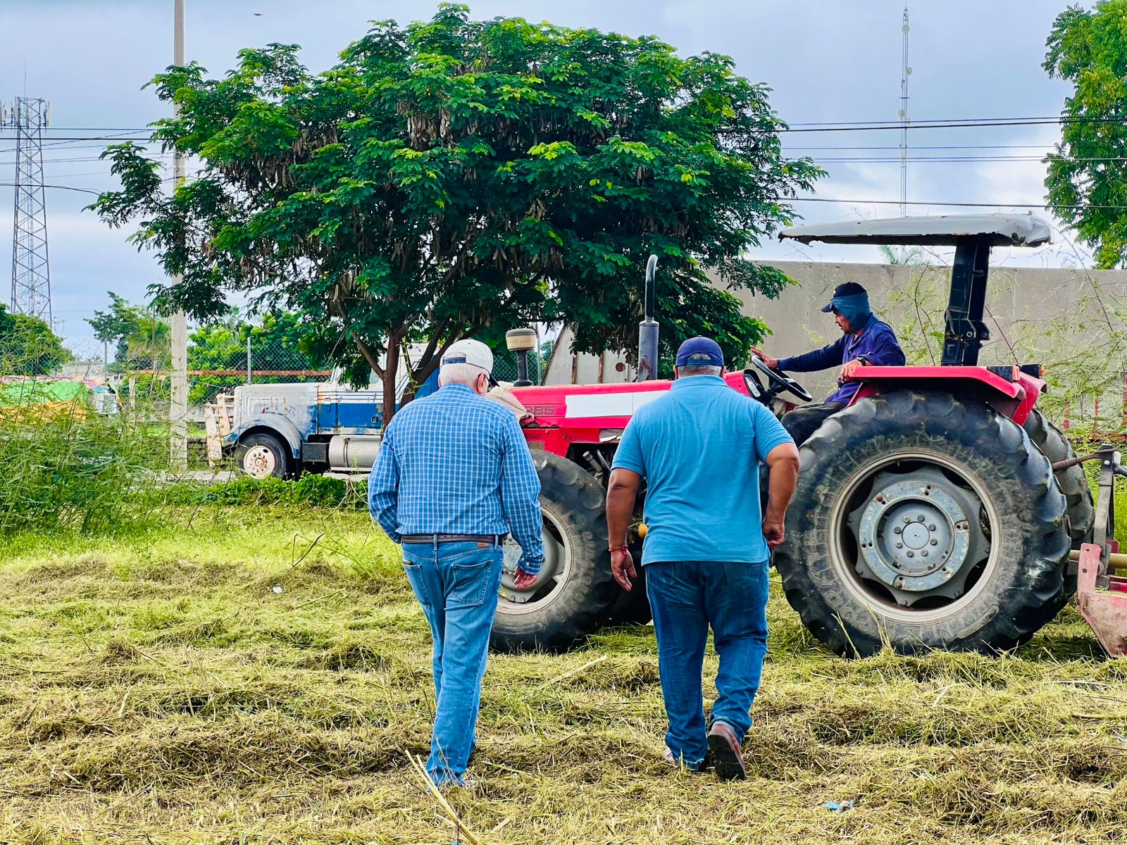 Supervisan limpieza de terreno en Escuinapa, Sinaloa