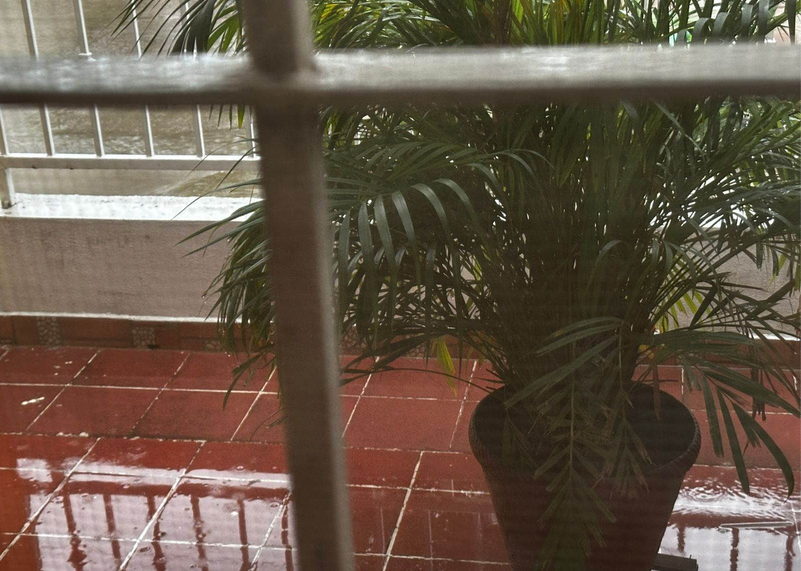 lluvias moderadas se registrraron en la zona rural de mazatlan