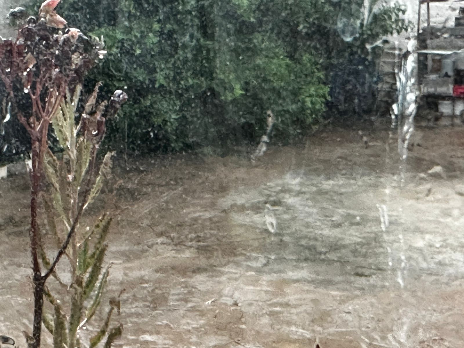 lluvias moderadas se registrraron en la zona rural de mazatlan