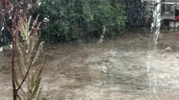 Regreso a clases con paraguas; caen lluvias matutinas en zona rural de Mazatlán