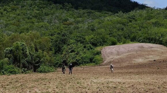 Localizan osamenta humana al sur de Mazatlán, cerca del fraccionamiento Stanza Magnolia