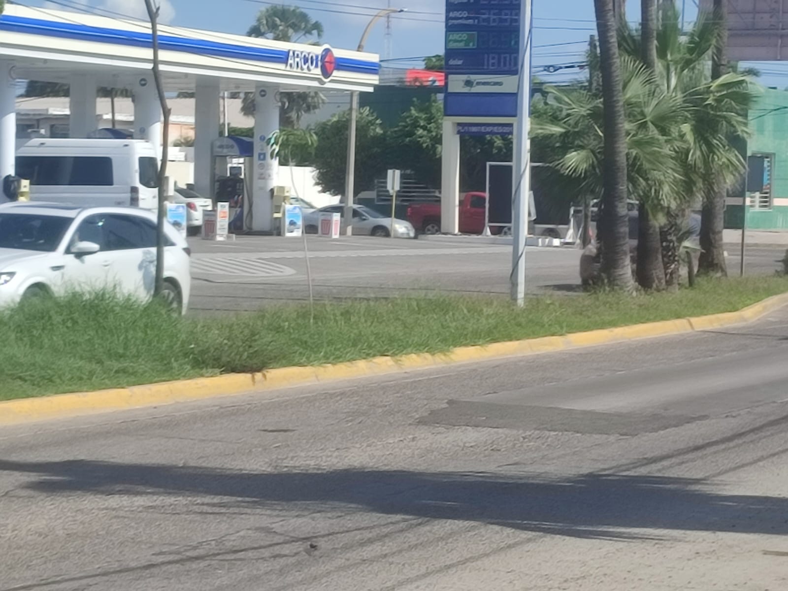 Camellones y banquetas con maleza crecida