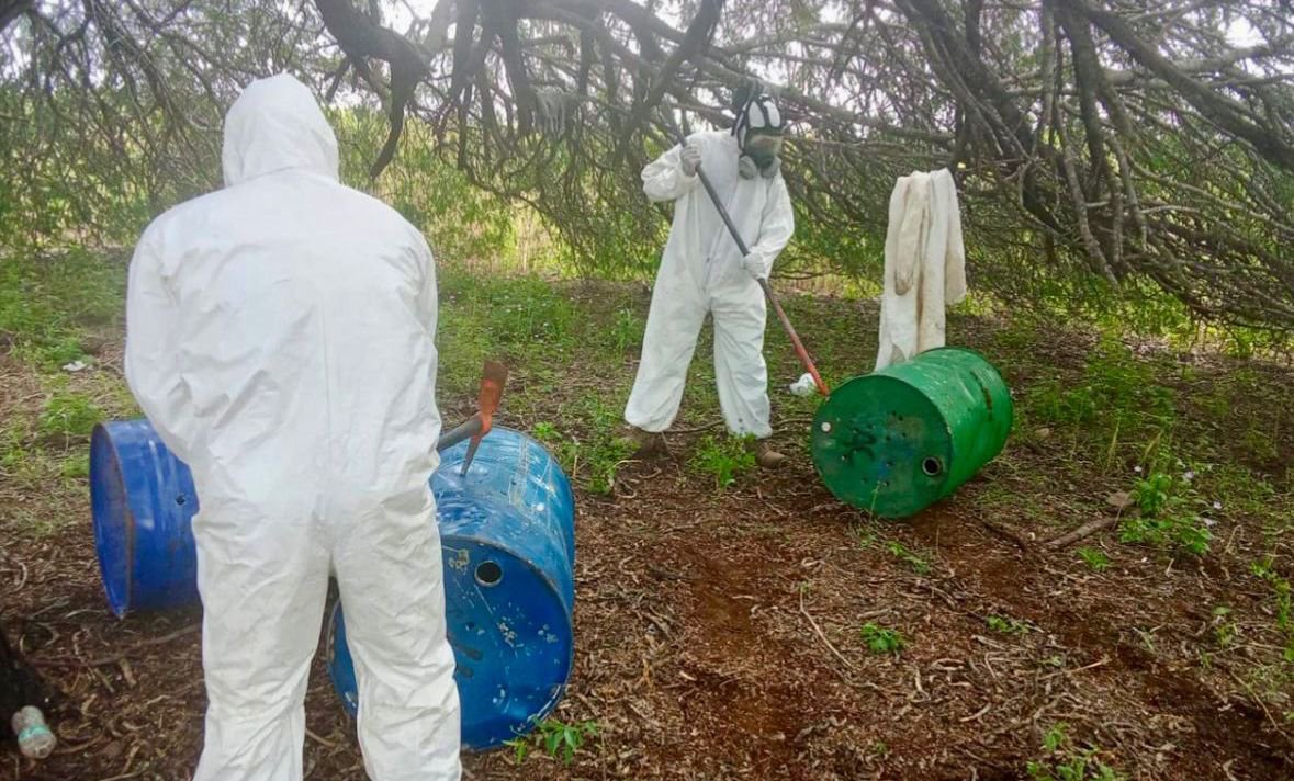 militares destruyen laboratorio plantio en cosala