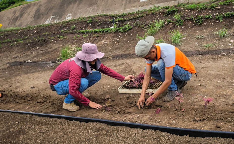 Construcción de muro de contención en arroyo de la 5 de Febrero en Culiacán
