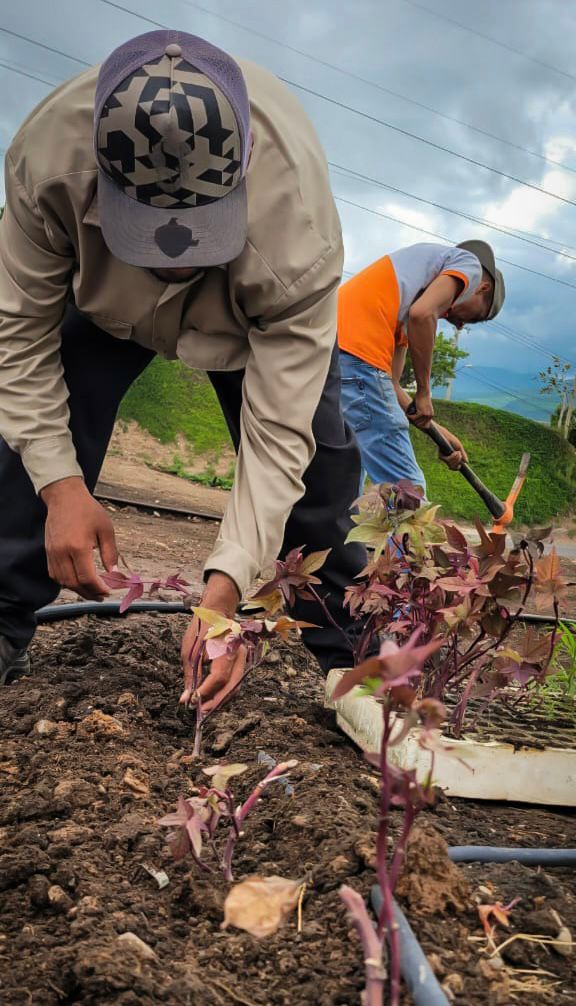 Construcción de muro de contención en arroyo de la 5 de Febrero en Culiacán