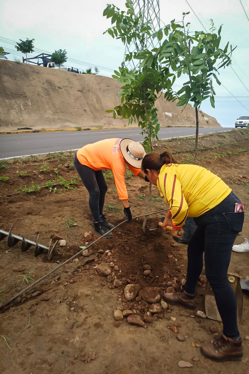 Construcción de muro de contención en arroyo de la 5 de Febrero en Culiacán