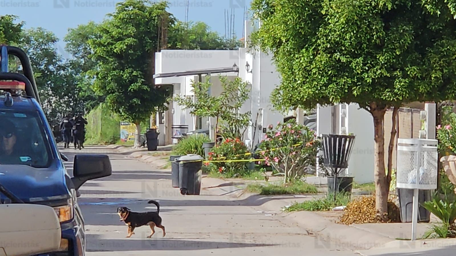 operativo en stanza cantabria tras balaceras de la madrugada